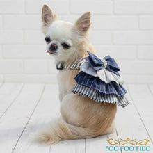 Ruffle Dog Harness Dress: Blue & Ivory Cotton Vest, Choke-Free