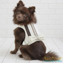 Fancy Ivory Dog Harness with Bow & Crystals - Choke-Free Design