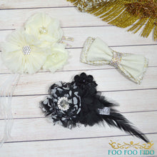 Designer Dog Harness Vest Gold | Fancy Harness for Dogs