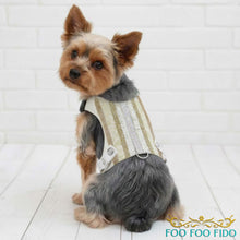 Designer Dog Harness Vest Gold | Fancy Harness for Dogs