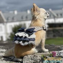 Ruffle Dog Harness Dress: Blue & Ivory Cotton Vest, Choke-Free