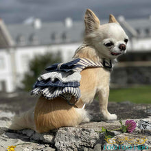 Ruffle Dog Harness Dress: Blue & Ivory Cotton Vest, Choke-Free