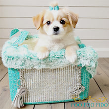 Diamonds are Forever Blue Designer Pet Carrier Purse Tiffany