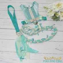Teal Braided Dog Leash | Boho Pet Leash